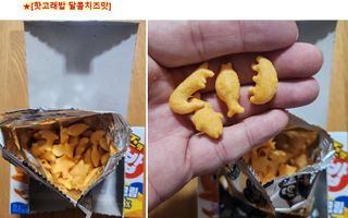 쌍디아빠님이 올린 리뷰 사진 1