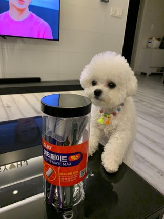 큐티윤님이 올린 리뷰 사진 1
