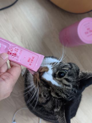 언니의호기심님이 올린 리뷰 사진 2