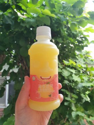 탐라원 제주의 맛, 몬딱주스 4종세트 - 한라봉몬딱주스, 천혜향몬딱주스, 청귤에이드, 당근몬딱주스 — 5점을 준 리뷰어가 2021년 8월 올린 사용 사진