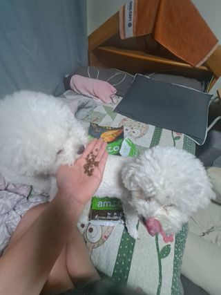 *명*수*님이 올린 리뷰 사진 3