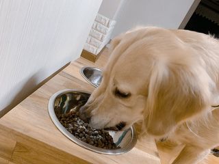 달봉언니님이 올린 리뷰 사진 4