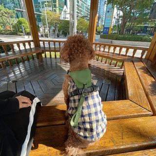 프롬님이 올린 리뷰 사진 1