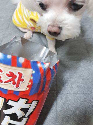 두부님이 올린 리뷰 사진 4