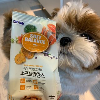 씨디랩 속이 편한 강아지 사료 소프트발란스 기호성 좋은 발효사료 피부와 위장 관절과 위장 — 5점을 준 리뷰어가 2021년 4월 올린 사용 사진