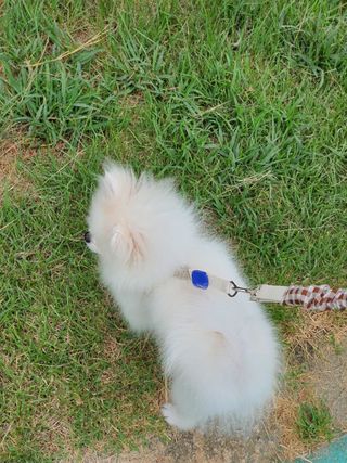 제니구리님이 올린 리뷰 사진 1