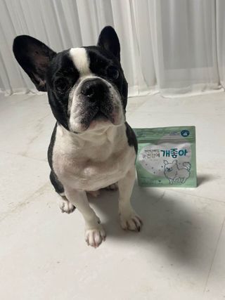My Pet Care 천연단백질 눈건강에 개좋아 — 5점을 준 리뷰어가 2021년 1월 올린 사용 사진