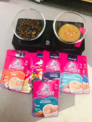 비타크래프트 고양이 수프 50g 3가지맛 x4팩씩 총 12팩 — 5점을 준 리뷰어가 2021년 8월 올린 사용 사진