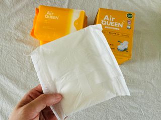 에어퀸 뉴브레스 유기농 생리대 4종 (팬티라이너 20P + 중형 10P + 대형 10P + 오버나이트 8P)_체험단 — 5점을 준 리뷰어가 2024년 6월 올린 사용 사진