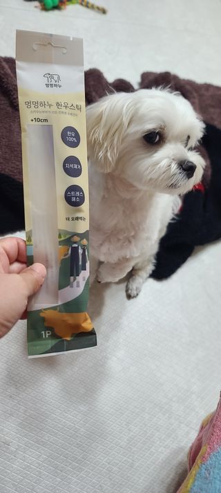 삐랭이님이 올린 리뷰 사진 2
