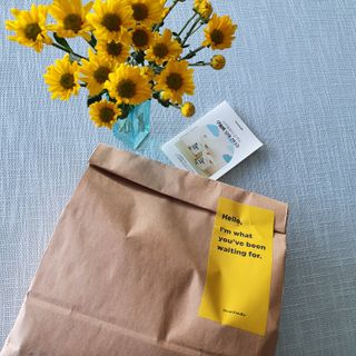 디어엘로디 오가닉 무표백 건티슈 — 5점을 준 리뷰어가 2022년 9월 올린 사용 사진