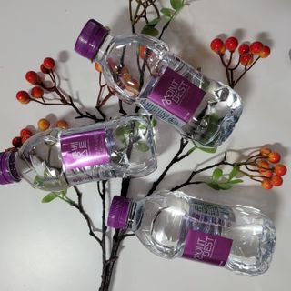 몽베스트 [MONTBEST] 330mL 20병 — 5점을 준 리뷰어가 2023년 8월 올린 사용 사진
