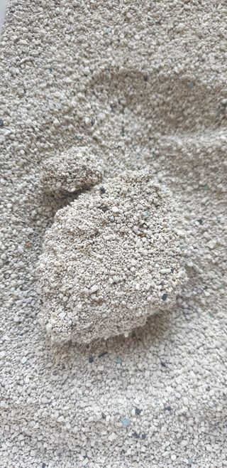 겟플렉스 켓플렉스 캣츠룸BS-1 고양이모래 4kg — 5점을 준 리뷰어가 2021년 1월 올린 사용 사진
