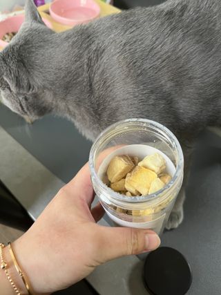 부르르펫 야미트릿 틸라피아 60g — 5점을 준 리뷰어가 2021년 10월 올린 사용 사진