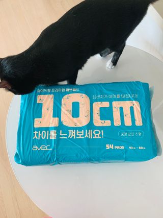 오둥이맘님이 올린 리뷰 사진 1