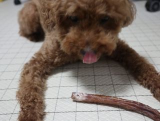 민쓰님이 올린 리뷰 사진 2