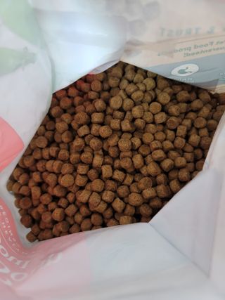 치킨수프 클래식 독 2.04KG — 3점을 준 리뷰어가 2021년 7월 올린 사용 사진