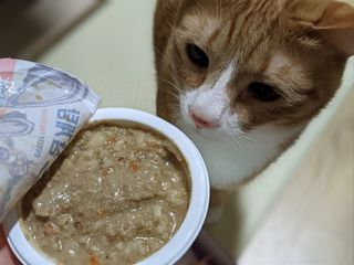언니의호기심님이 올린 리뷰 사진 2