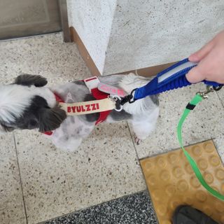꽃단이님이 올린 리뷰 사진 1