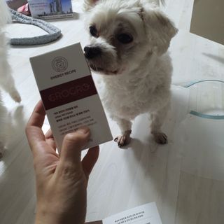 펫21 그로그로 5종 강아지 고양이 반려동물 한방 영양제 — 5점을 준 리뷰어가 2021년 11월 올린 사용 사진