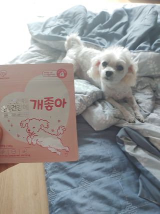 My Pet Care 천연단백질 관절건강에 개좋아 — 4.5점을 준 리뷰어가 2021년 3월 올린 사용 사진