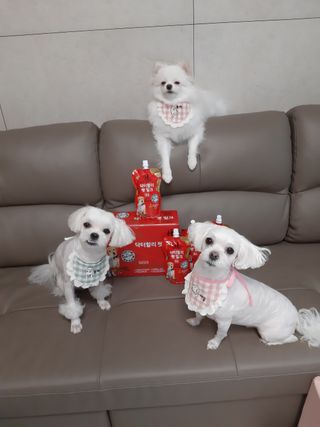 부산댁님이 올린 리뷰 사진 1
