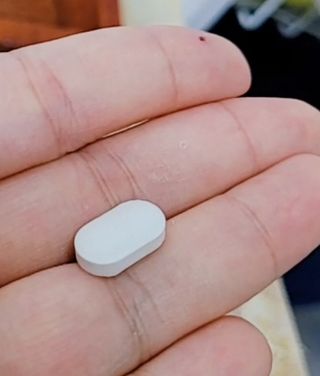뉴트리션팩토리 비타프렙 바이탈디 비타민D 500mg — 5점을 준 리뷰어가 2021년 8월 올린 사용 사진