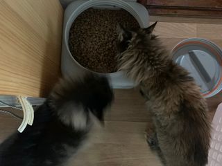 Okkozzang님이 올린 리뷰 사진 3