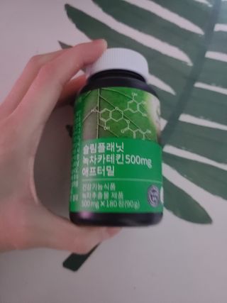 슬림플래닛 녹차카테킨 500mg 애프터밀 — 5점을 준 리뷰어가 2021년 3월 올린 사용 사진
