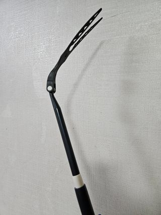 롱롱님이 올린 리뷰 사진 2