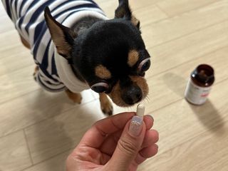 깡지님이 올린 리뷰 사진 1