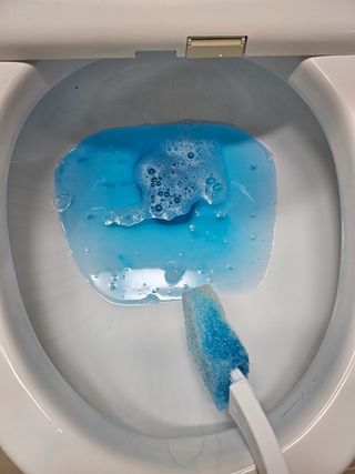 윤복댕님이 올린 리뷰 사진 2