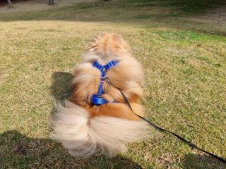 아롱이님이 올린 리뷰 사진 4
