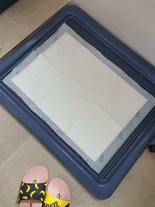 아베크 펫 와이드 프리미엄 중형 애견 강아지 배변 패드 54매 1팩 45g — 5점을 준 리뷰어가 2021년 7월 올린 사용 사진