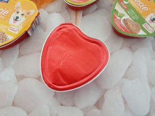 비타크래프트 조에시 하트캔 85g 강아지 습식캔 10캔 — 5점을 준 리뷰어가 2021년 10월 올린 사용 사진