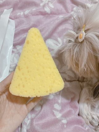 박하님이 올린 리뷰 사진 3