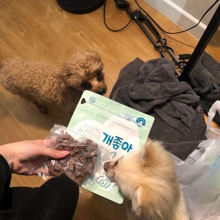 My Pet Care 천연단백질 눈건강에 개좋아 — 5점을 준 리뷰어가 2021년 1월 올린 사용 사진