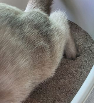 케키님이 올린 리뷰 사진 3