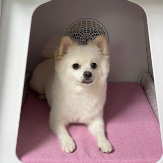 2rem0ng님이 올린 리뷰 사진 2