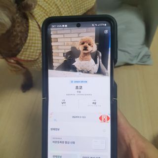 사랑해안시영님이 올린 리뷰 사진 4