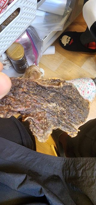 [졸리졸리] 말고기 육포 간식 (HORSE MEAT JERKY) — 5점을 준 리뷰어가 2023년 1월 올린 사용 사진