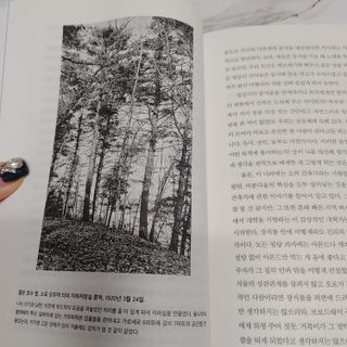 헤이율(angelyur)님이 올린 리뷰 사진 3