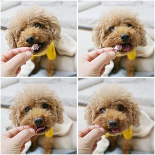 랭쑤님이 올린 리뷰 사진 1