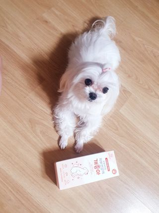 My Pet Care 모발과 모질 피부건강에 개좋아 — 5점을 준 리뷰어가 2021년 1월 올린 사용 사진