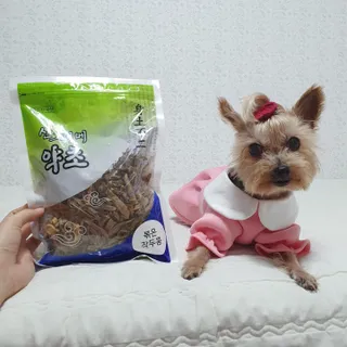 솜희님이 올린 리뷰 사진 4