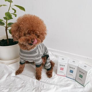 조이님이 올린 리뷰 사진 2