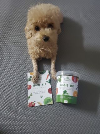 모모맘님이 올린 리뷰 사진 3