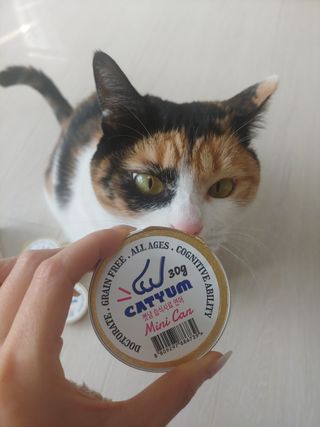 홍제이님이 올린 리뷰 사진 3