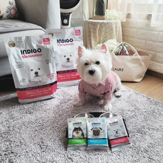 jj스타일님이 올린 리뷰 사진 1