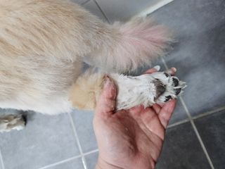 최수연님이 올린 리뷰 사진 3
